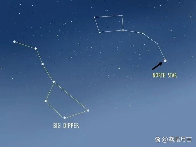 比邻星属于哪个星座