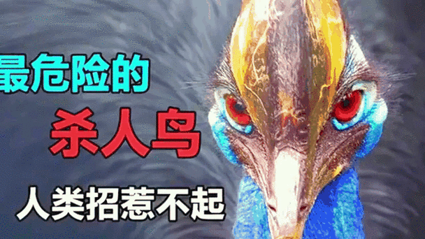 招惹不起难道我还躲不起吗