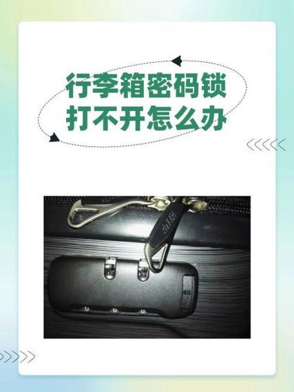 皮箱锁打不开了怎么办截图