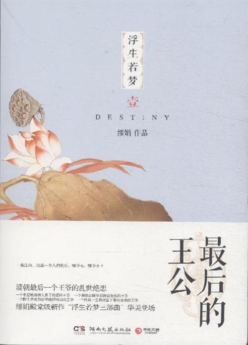 浮生若梦1:最后的王公