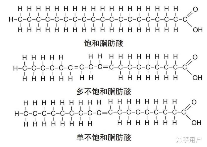 牛油与猪油哪个更健康