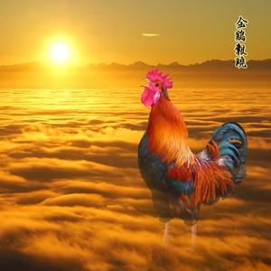 金鸡吉祥图片图标