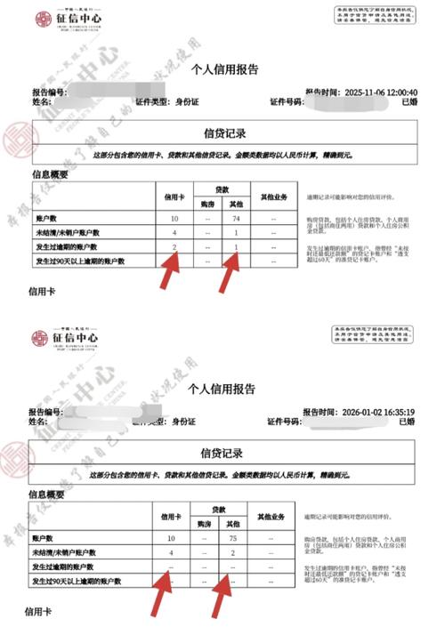 征信报告有个河北幸福消费金融图标
