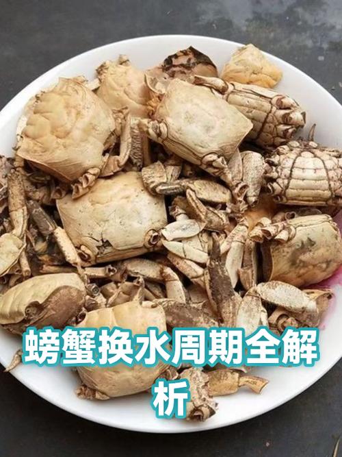 螃蟹多久换一次水缩略图