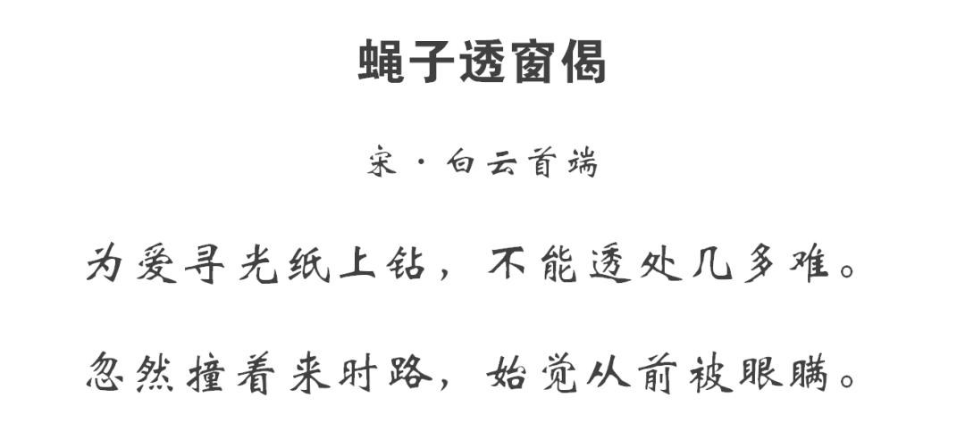 关于苍蝇的谜语