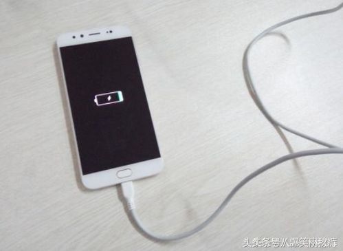 手机摔弯了可以充电吗vivo