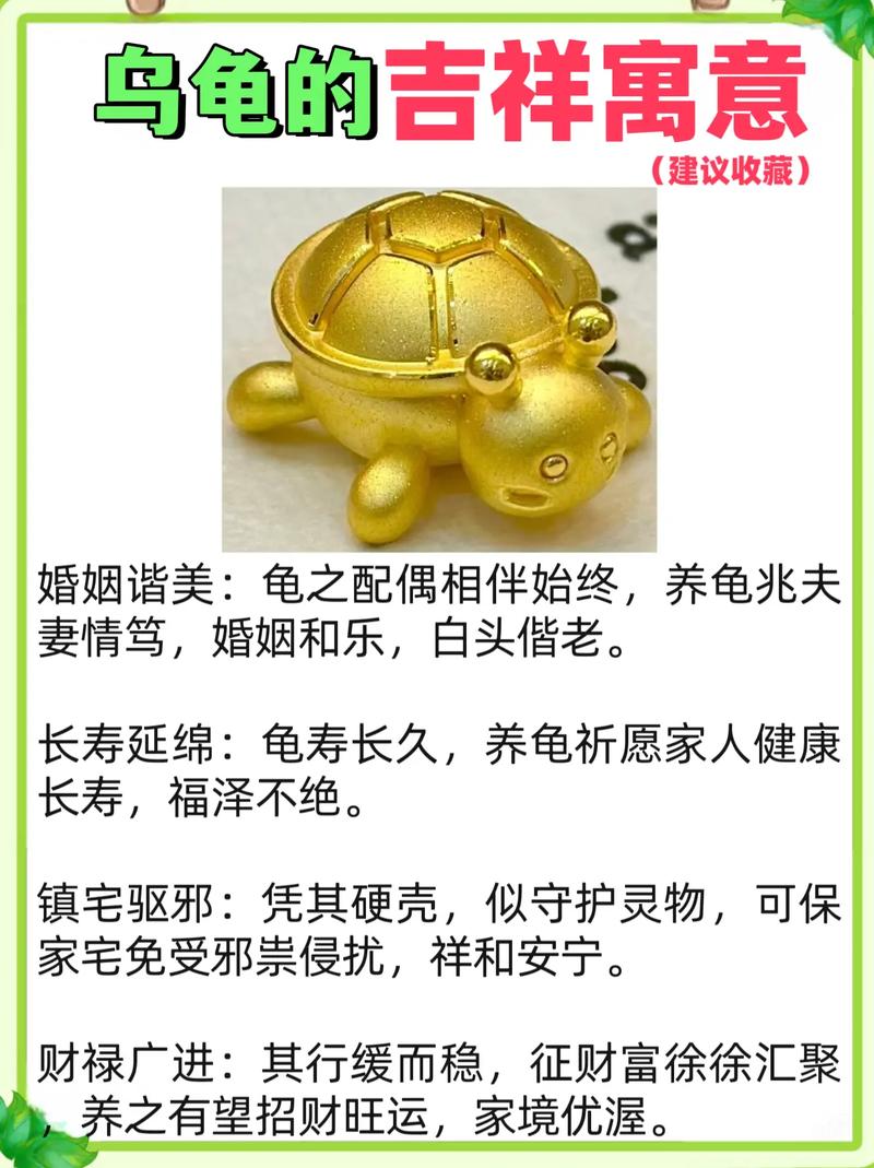 上上签乌龟命什么意思