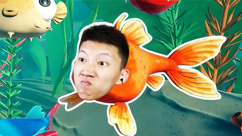 小鱼解说