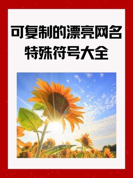 独一无二特殊符号网名可复制