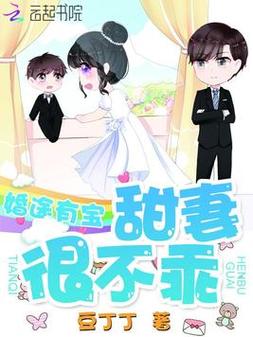 豆丁丁婚途有宝