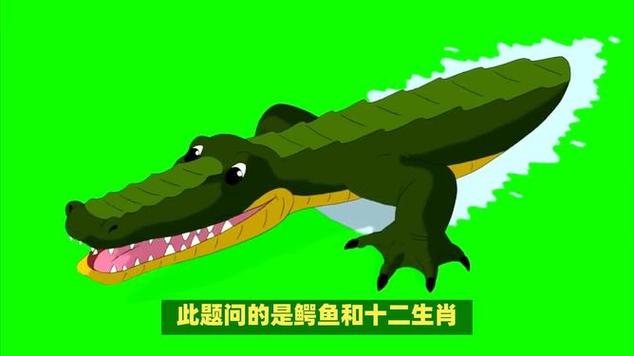 鳄鱼最忌讳的三个属相游戏截图