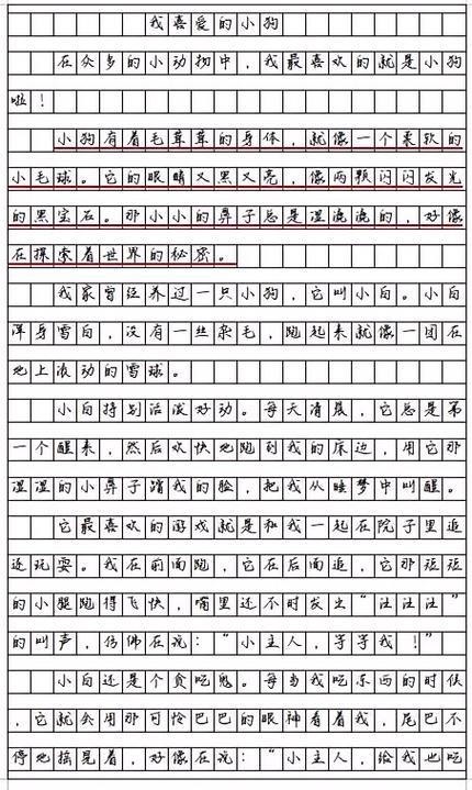 猜你喜欢作文