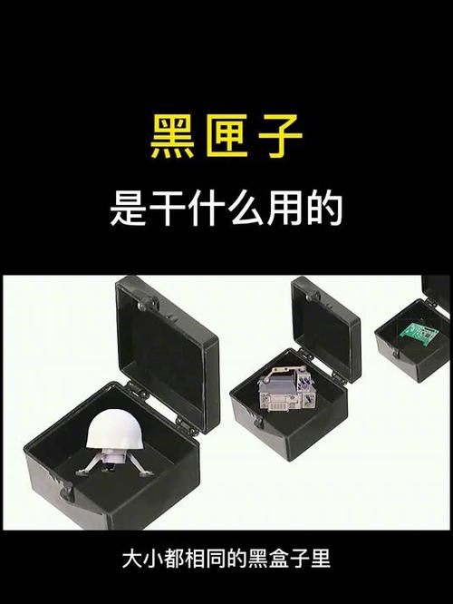 黑匣子下载截图