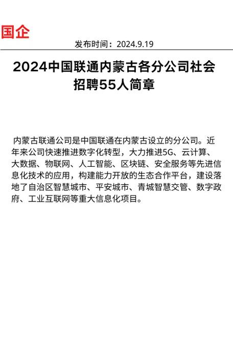 中国联通社招 分组