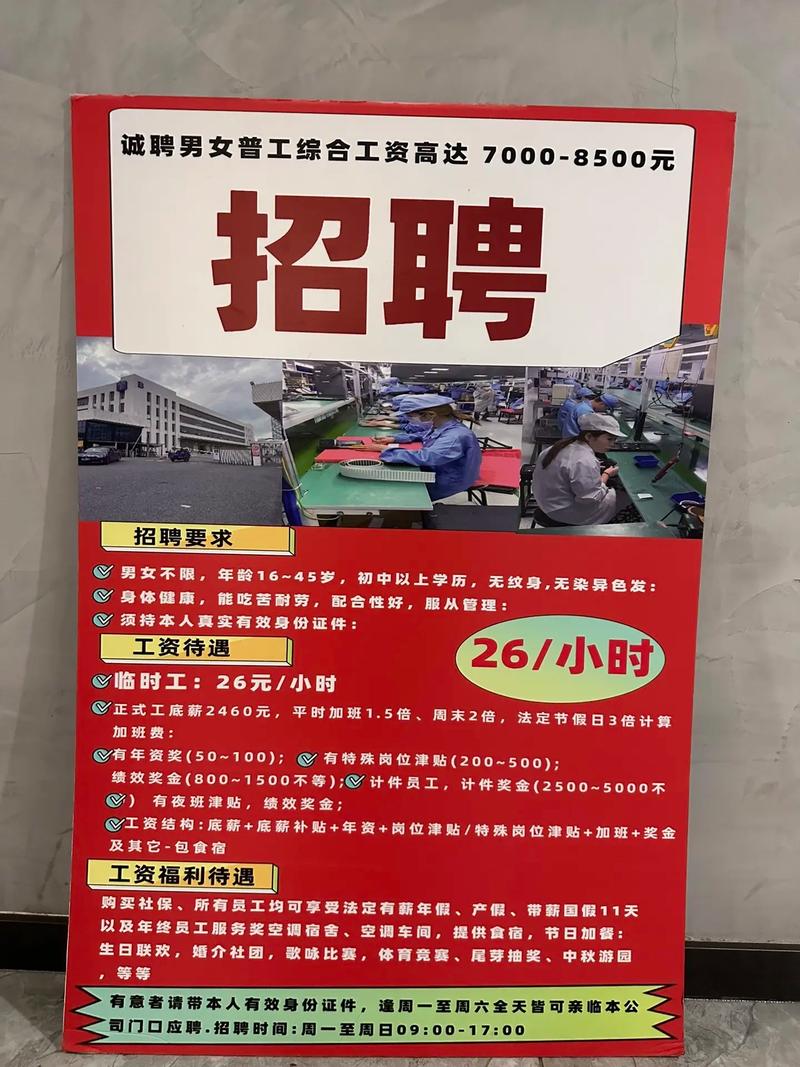 北方新宇招聘
