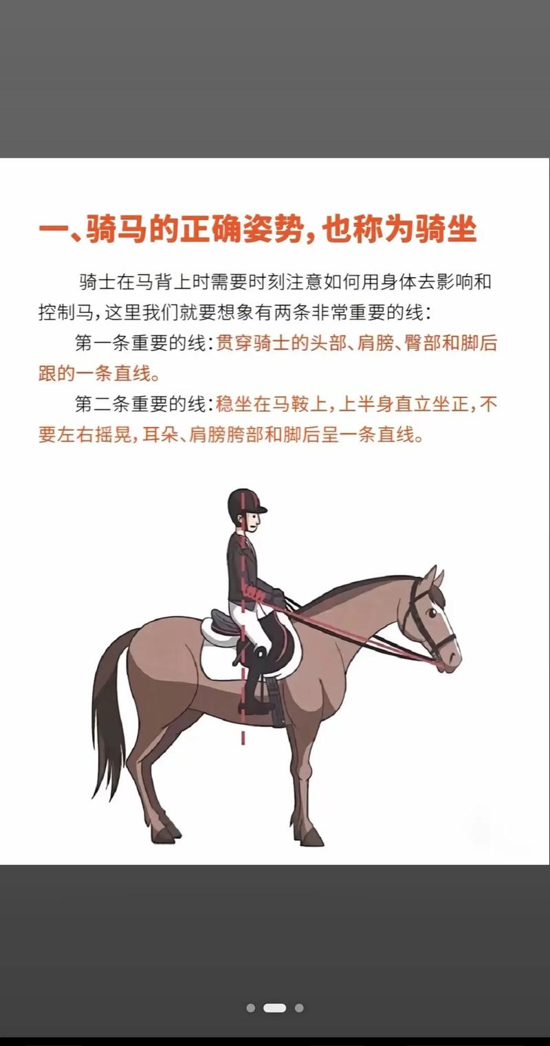 萨尔玛飞行骑术训练师在哪里