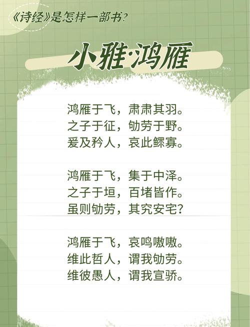 鸿雁小说全文免费阅读游戏截图