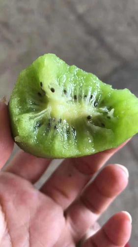 齐齐果业