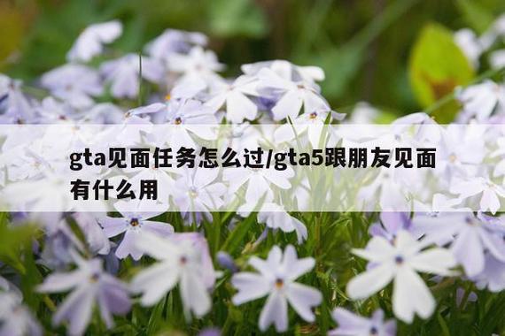 gta5可以和好友一起做任务吗缩略图