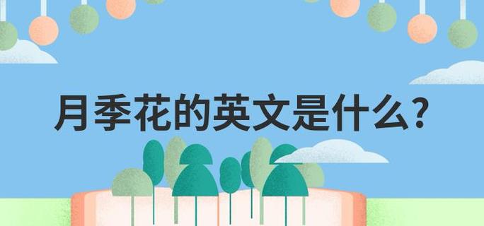花瓣英文怎么说