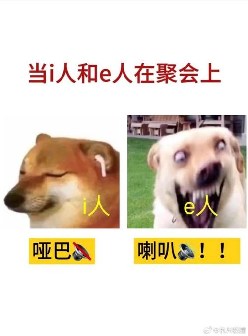 大家说e互助是真的吗