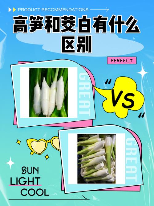 60hz和120hz区别大吗缩略图