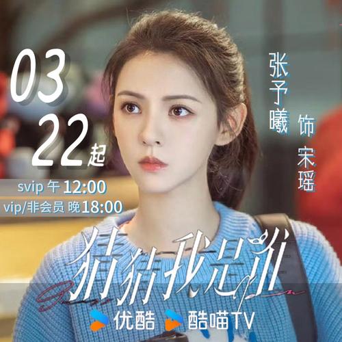 我是大明星在线播放