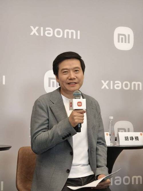 雷军回应为何只公布锁单量截图