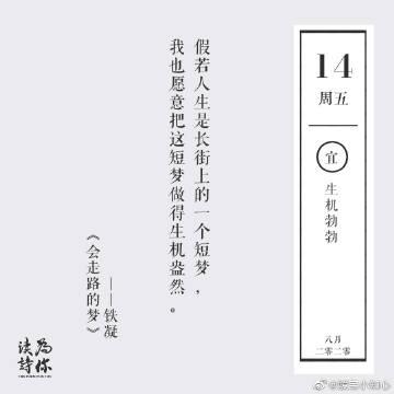 大奥数术师她今天赚钱了吗最新文章
