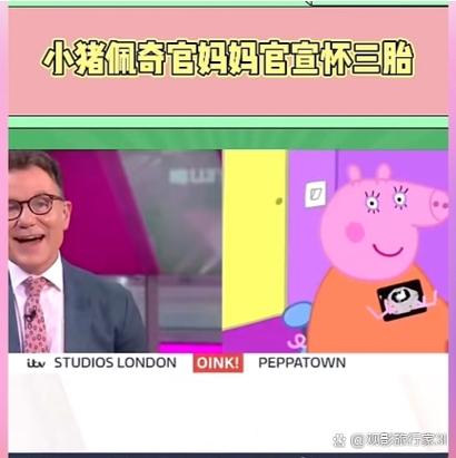 猪妈妈第12季生三胎