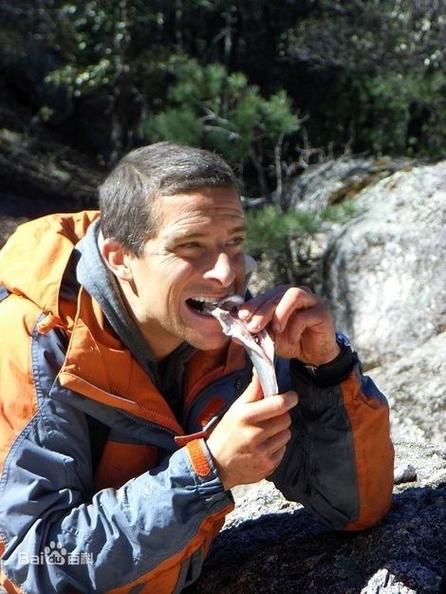 食物链顶端的男人百度百科截图