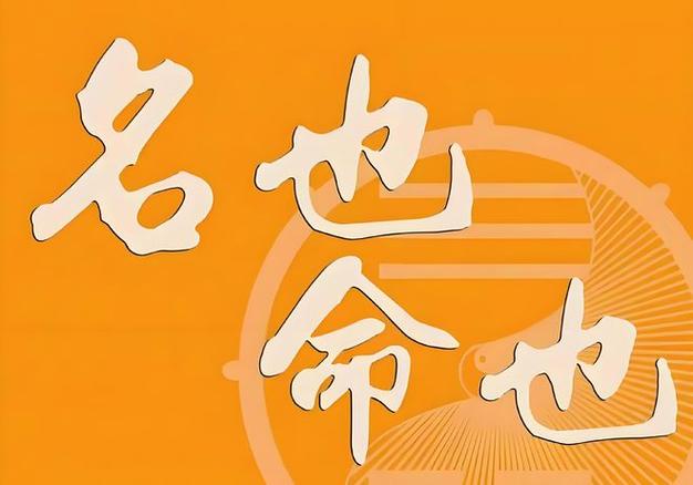 改名字会改变一个人的命运吗游戏截图