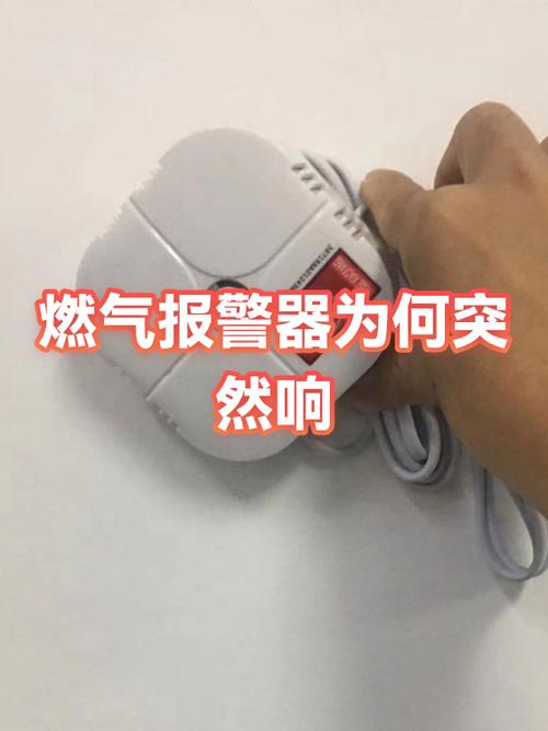 燃气报警器突然响了