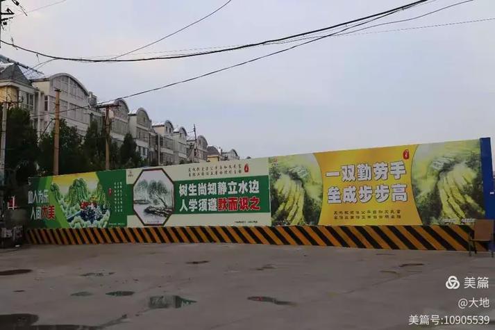 为什么美篇一打开全是广告