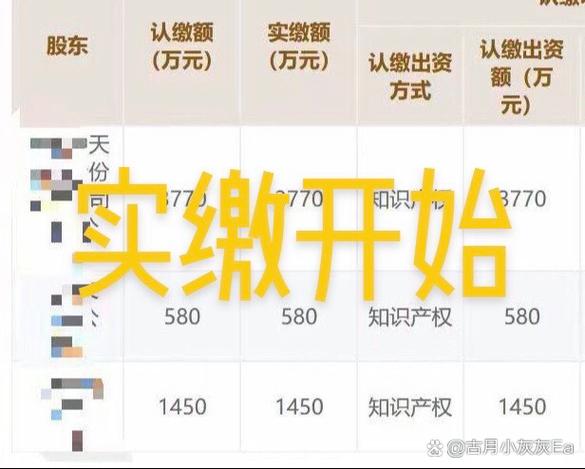 认缴出资方式1啥意思