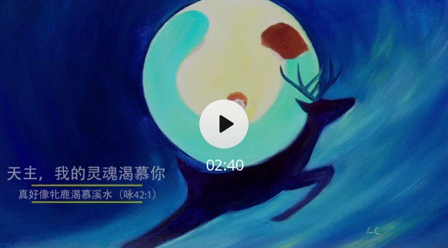 万有真原小助手