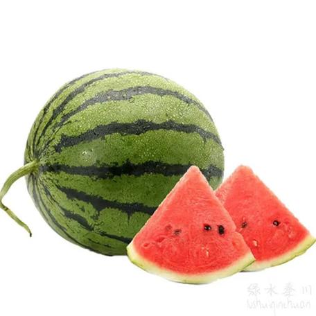 小西瓜一般多少斤