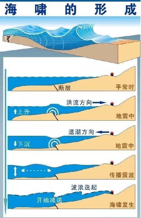 海啸来了怎么办自救