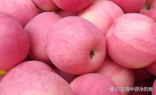 怎样保存苹果的最好方法图标