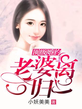 顶级婚约老婆离一归二小说免费版