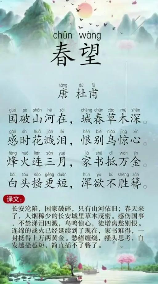 春望是什么诗体裁