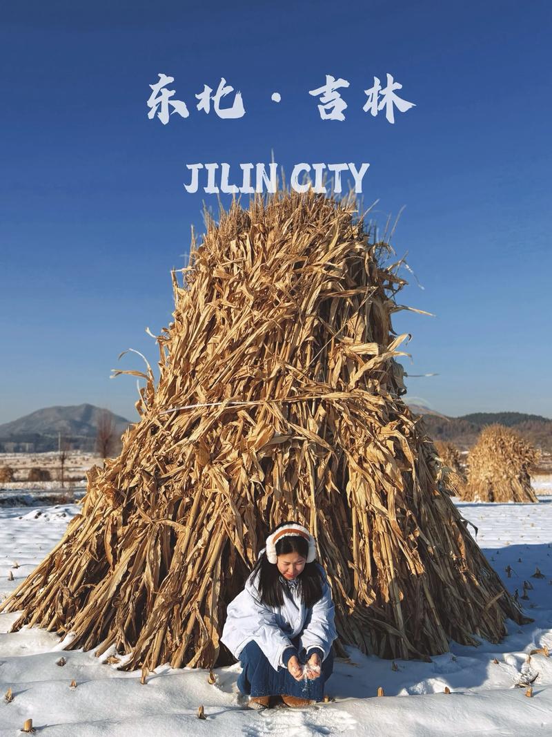 垛垛影枧