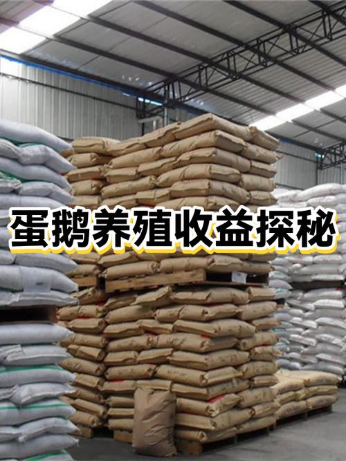养100只蛋鹅一年能挣多少钱