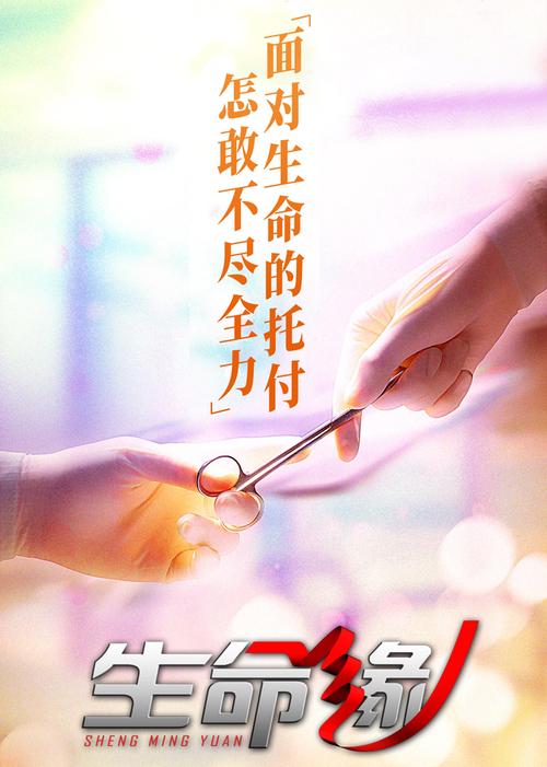 生命缘双胞胎姐妹车祸第几集