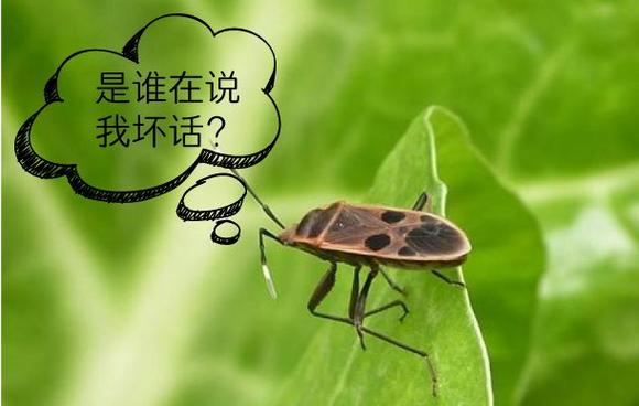 我不像讨厌绿色那样讨厌蓝色