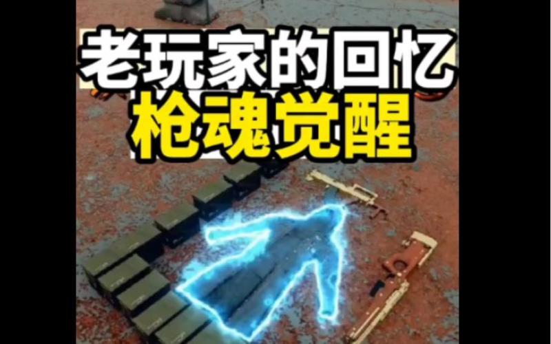 枪魂觉醒2缩略图