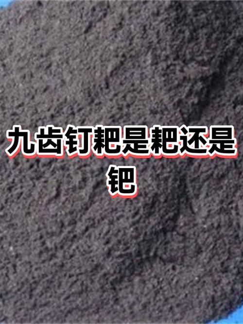 九齿钉耙还是钯