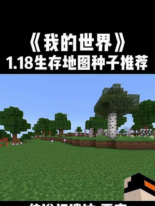 mc种子最罕见种子