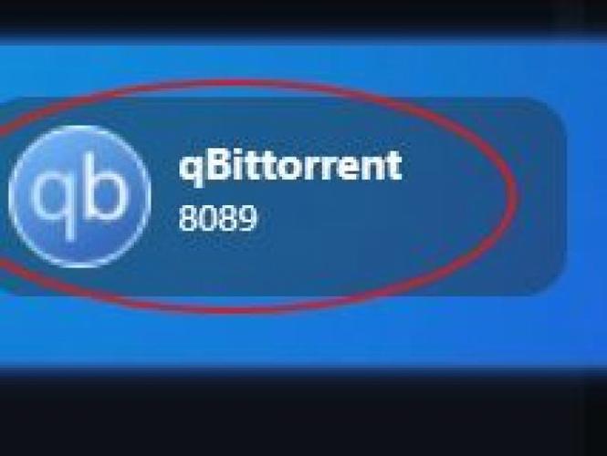 qbittorrent安卓版下载官网截图