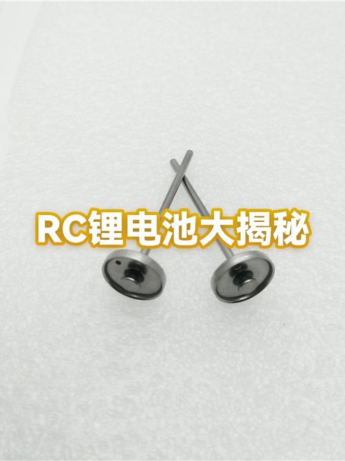 大彊RC遥控器电池